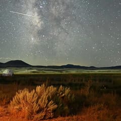 Wildernest RV Site