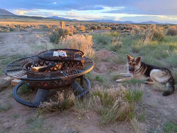 Wildernest RV Site - Image 4